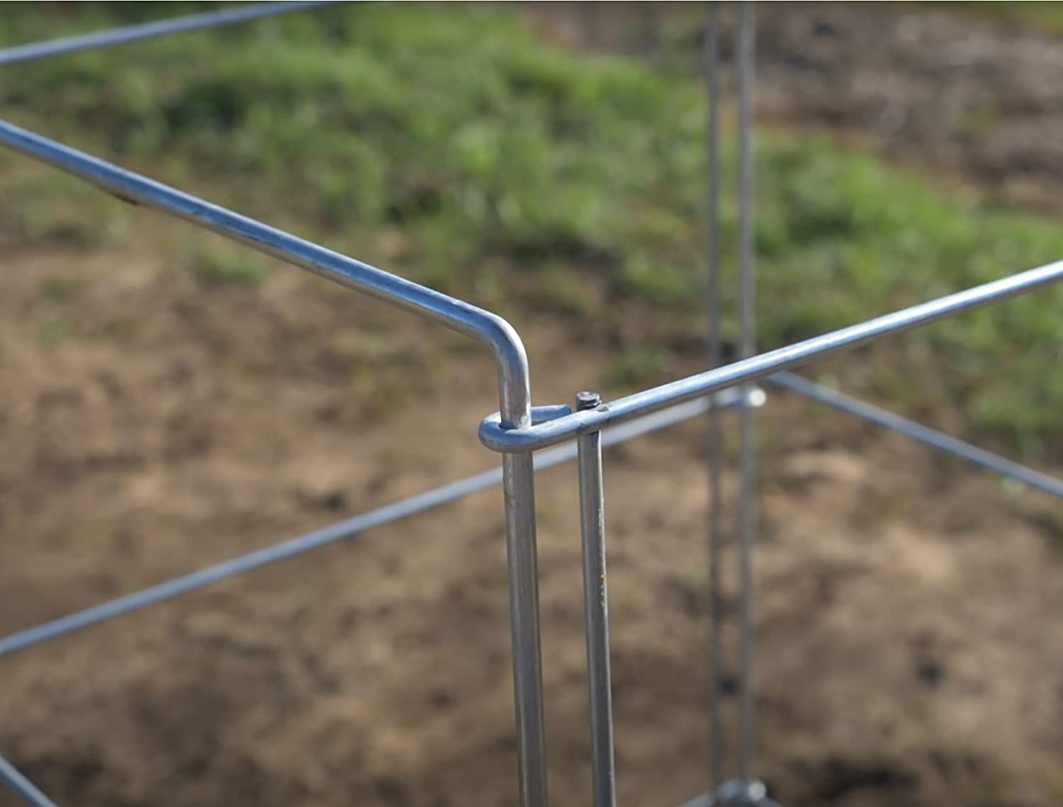 5 pack 56 inch tomato cages